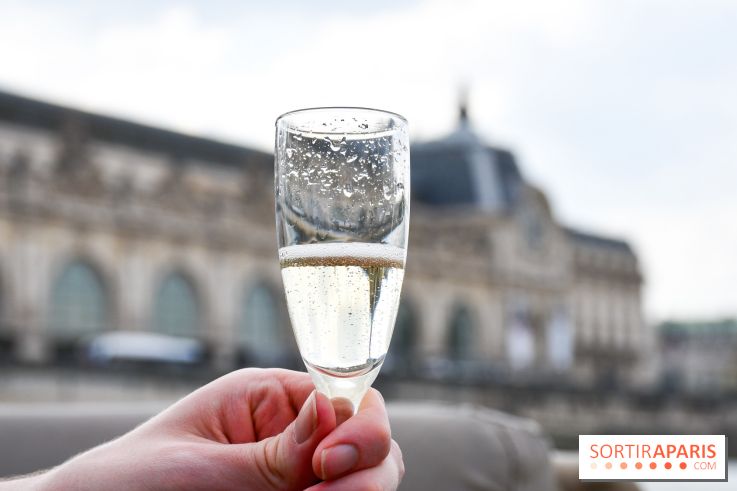 Une croisière privée en amoureux sur la Seine - DSC 2188