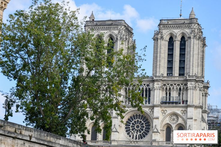Une croisière privée en amoureux sur la Seine - DSC 2252