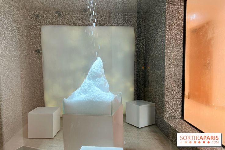 Dolce by Wyndham Versailles - Domaine du Montcel