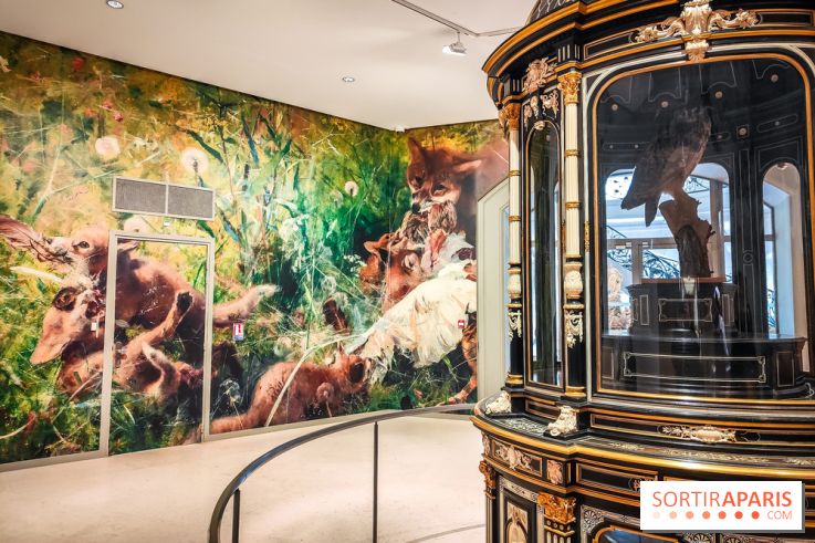 Bruno Liljefors, la Suède sauvage : l'exposition poétique se dévoile en images au Petit Palais - IMG20240930093920