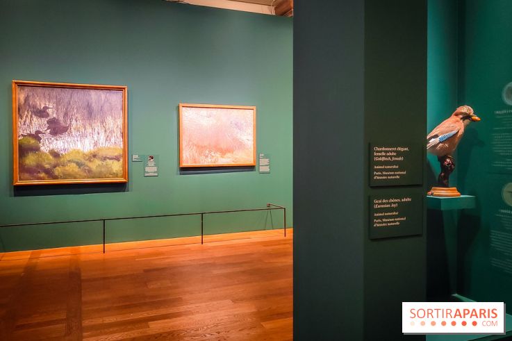 Bruno Liljefors, la Suède sauvage : l'exposition poétique se dévoile en images au Petit Palais