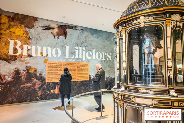 Bruno Liljefors, la Suède sauvage : l'exposition poétique se dévoile en images au Petit Palais - IMG20240930093907