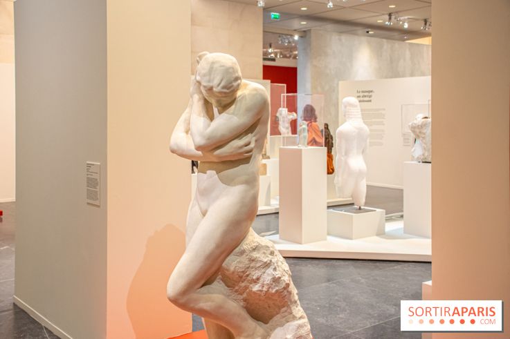 Rodin/Bourdelle - Corps à corps au Musée Bourdelle - DSC 1212