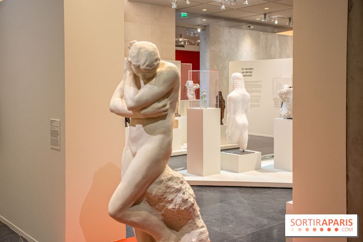 Rodin/Bourdelle - Corps à corps au Musée Bourdelle - DSC 1213