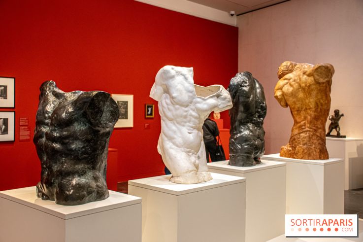 Rodin/Bourdelle - Corps à corps au Musée Bourdelle - DSC 1225