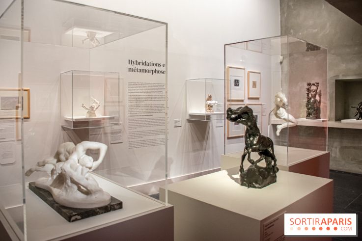 Rodin/Bourdelle - Corps à corps au Musée Bourdelle - DSC 1243