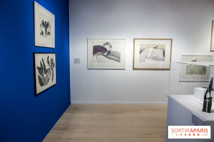 Exposition sur l'art inuit au Centre culturel canadien, nos photos