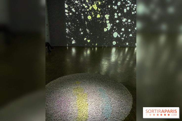 Prix Marcel Duchamp 2024 au Centre Pompidou - IMG 0320