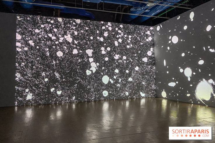 Prix Marcel Duchamp 2024 au Centre Pompidou