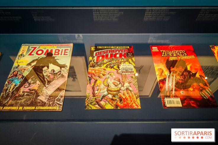 Zombis, la mort n'est pas une fin : l'exposition du musée du Quai Branly - IMG20241007111748