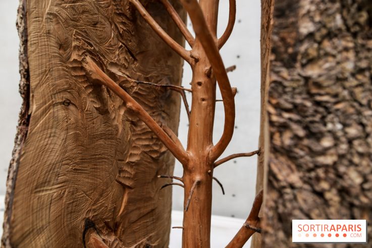 Arte Povera, l'exposition à la Bourse de Commerce, nos photos - IMG 6243