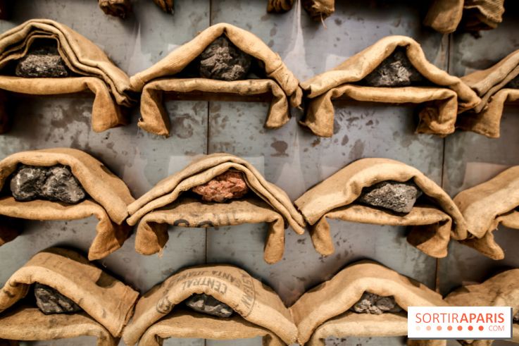 Arte Povera, l'exposition à la Bourse de Commerce, nos photos - IMG 6285