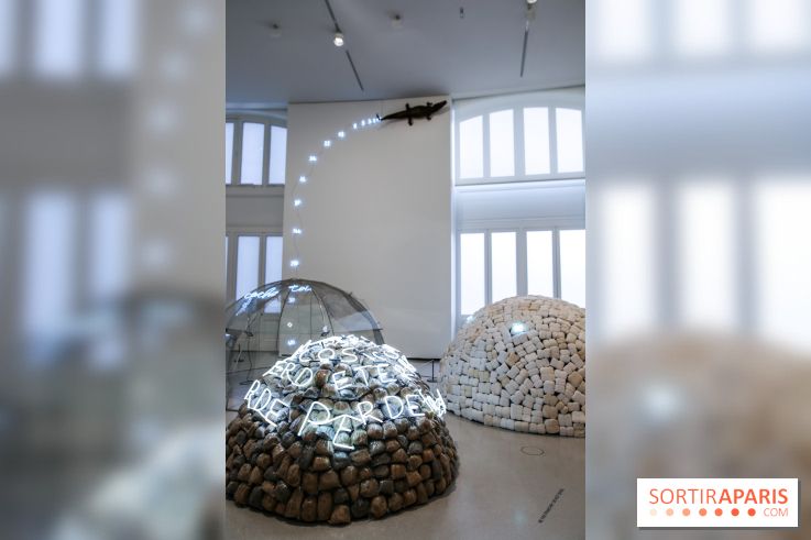 Arte Povera, l'exposition à la Bourse de Commerce, nos photos