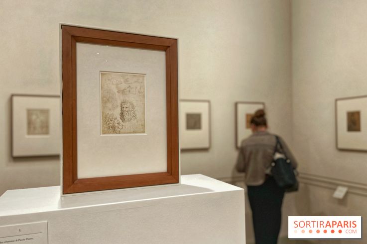 Naissance et Renaissance du dessin italien - IMG 4952