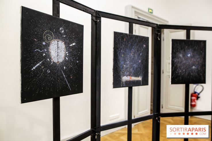 Ylva Snöfrid, exposition Cosmos et Vanitas à l'Institut suédois, nos photos - IMG 6405