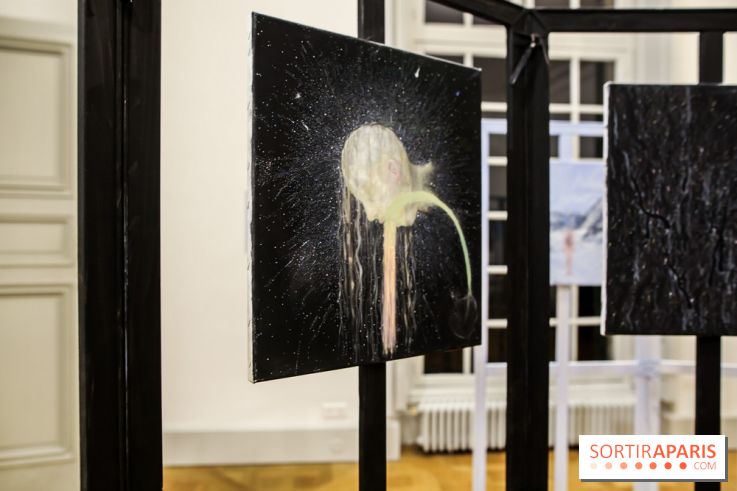 Ylva Snöfrid, exposition Cosmos et Vanitas à l'Institut suédois, nos photos