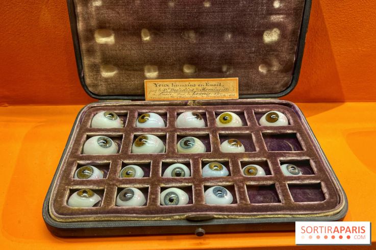 Merveilles - Sèvres - IMG 5130