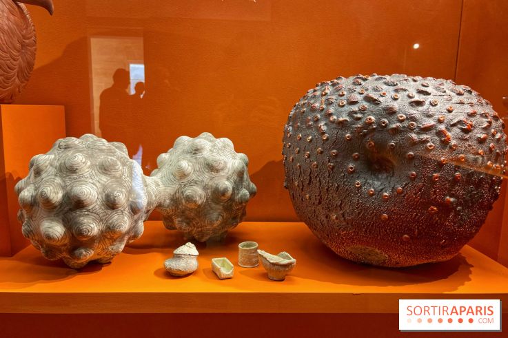 Merveilles - Sèvres - IMG 5132