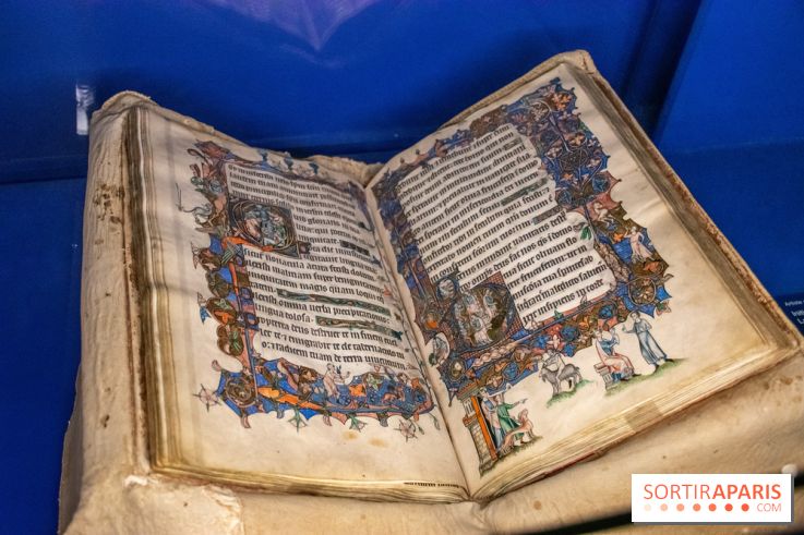 Figures du fou au musée du Louvre : l'exposition loufoque à découvrir - DSC 1334