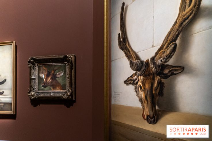 Les photos de l'exposition Oudry, peinte de courre au Château de Fontainebleau