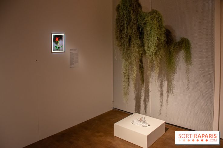 Exposition Soft Skills de Mohamad Abdouni à Lafayette Anticipations - DSC 1545