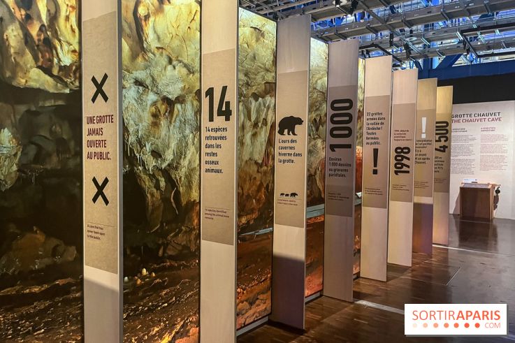 La Grotte Chauvet à la Cité des Sciences, nos photos  - image00017