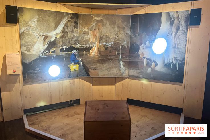 La Grotte Chauvet à la Cité des Sciences, nos photos  - image00014