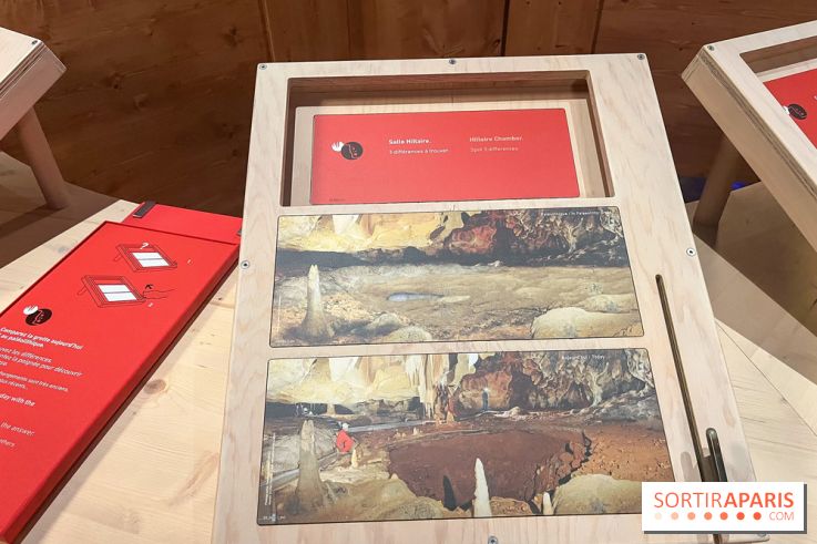 La Grotte Chauvet à la Cité des Sciences, nos photos  - image00013