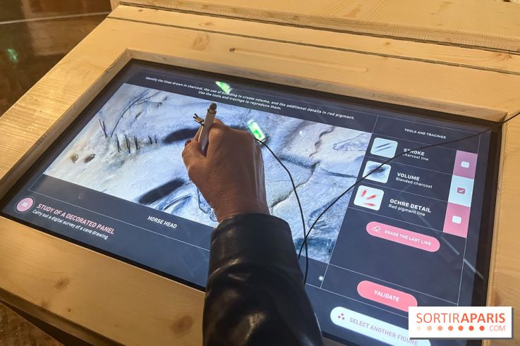 La Grotte Chauvet à la Cité des Sciences, nos photos  - image00009