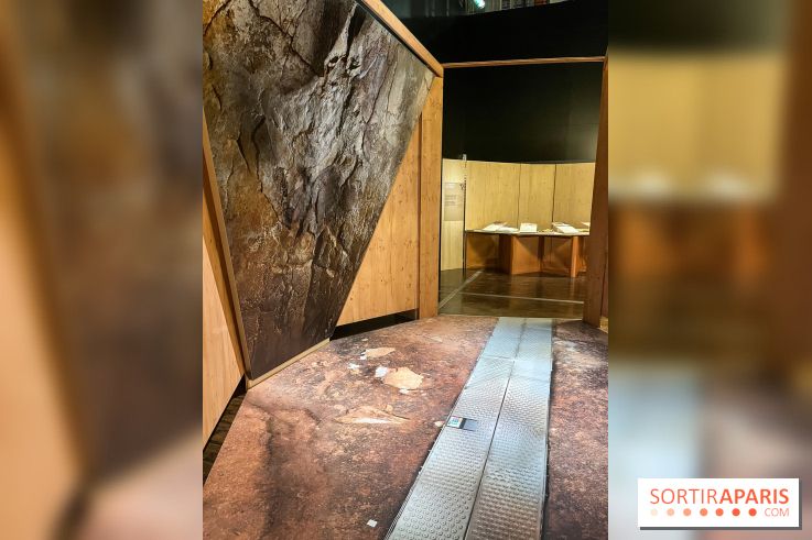 La Grotte Chauvet à la Cité des Sciences, nos photos  - image00001