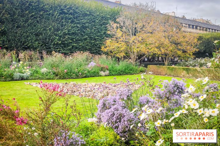 Art Basel Paris 2024 : une exposition de sculptures gratuite au Domaine du Palais-Royal - photos - IMG20241015160453