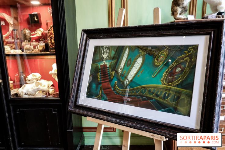 Benjamin Lacombe, nos photos de son exposition chez Deyrolle à Paris