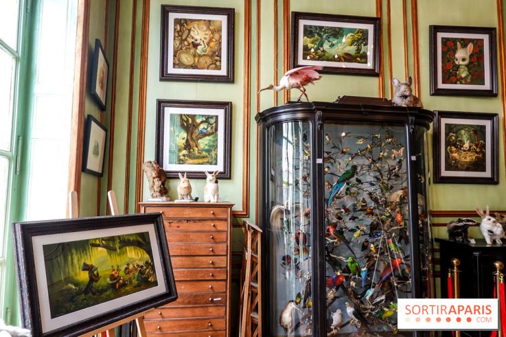 Benjamin Lacombe, nos photos de son exposition chez Deyrolle à Paris - DSC05548