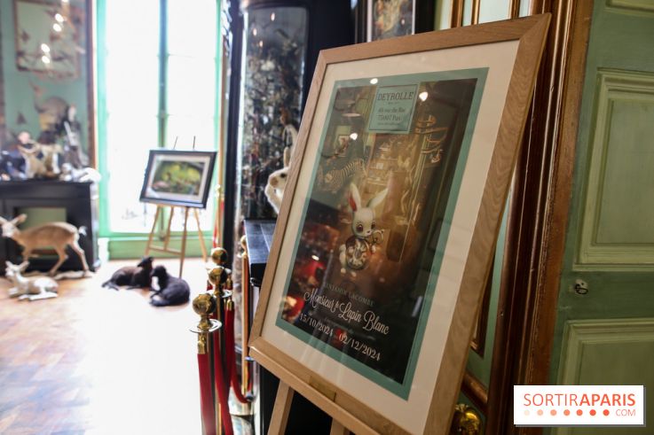 Benjamin Lacombe, nos photos de son exposition chez Deyrolle à Paris
