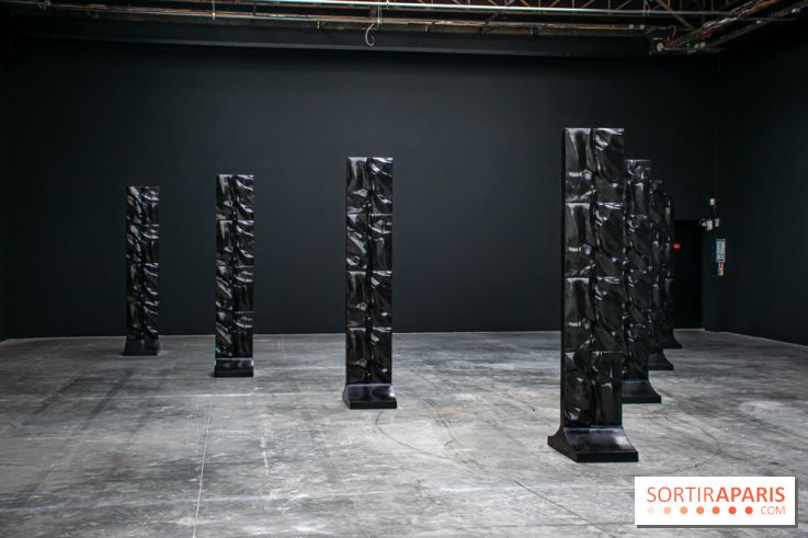 Exposition Barbara Chase-Riboud au Palais de Tokyo :  - DSC 1580