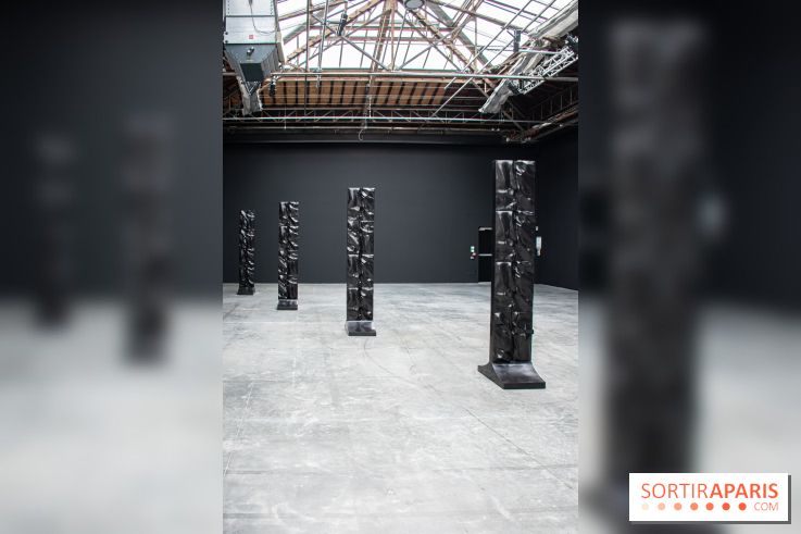 Exposition Barbara Chase-Riboud au Palais de Tokyo :  - DSC 1583