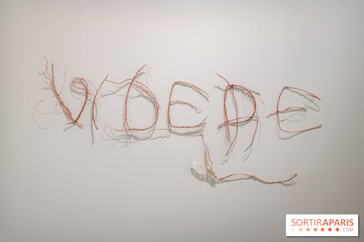 Exposition Praesentia de Myriam Mihindou au Palais de Tokyo - DSC 1615