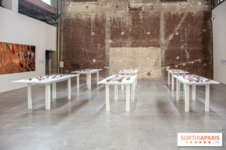 Exposition Praesentia de Myriam Mihindou au Palais de Tokyo - DSC 1616