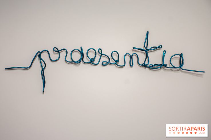 Exposition Praesentia de Myriam Mihindou au Palais de Tokyo - DSC 1619