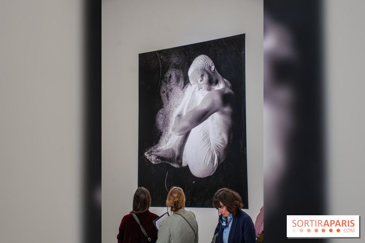 Exposition Praesentia de Myriam Mihindou au Palais de Tokyo - DSC 1625