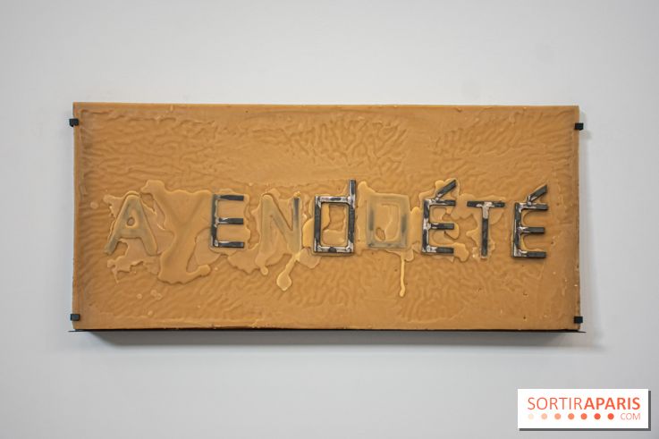 Exposition Praesentia de Myriam Mihindou au Palais de Tokyo - DSC 1626