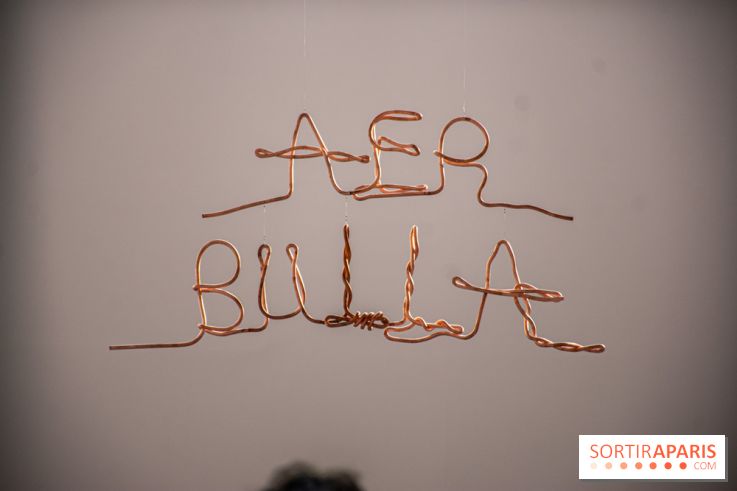 Exposition Praesentia de Myriam Mihindou au Palais de Tokyo - DSC 1627