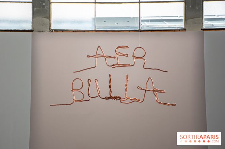 Exposition Praesentia de Myriam Mihindou au Palais de Tokyo - DSC 1631