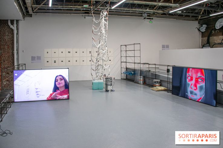 Les Frontières sont des animaux nocturnes : l'expo pour la saison lituanienne au Palais de Tokyo - DSC 1641