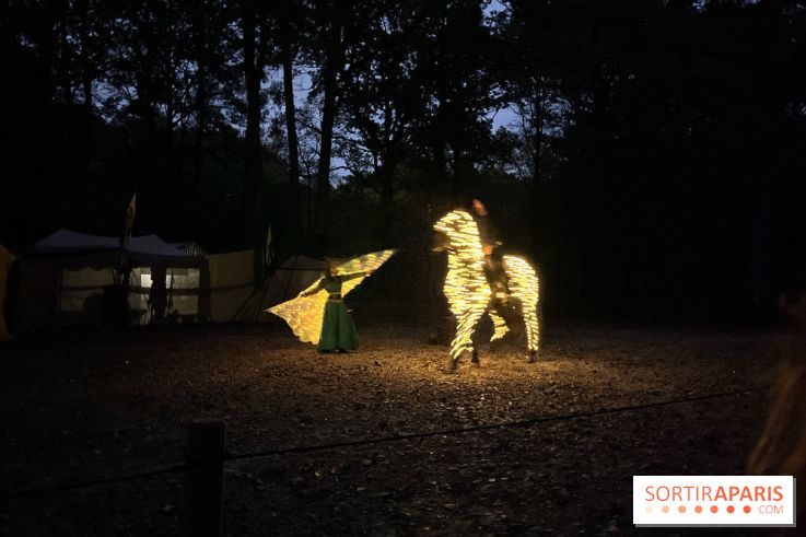 Les Esprits de la Forêt - IMG 5641