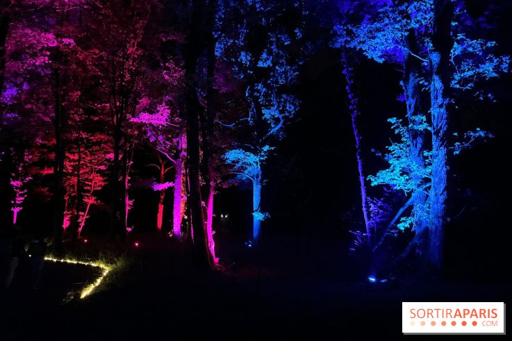 Les Esprits de la Forêt - IMG 5663