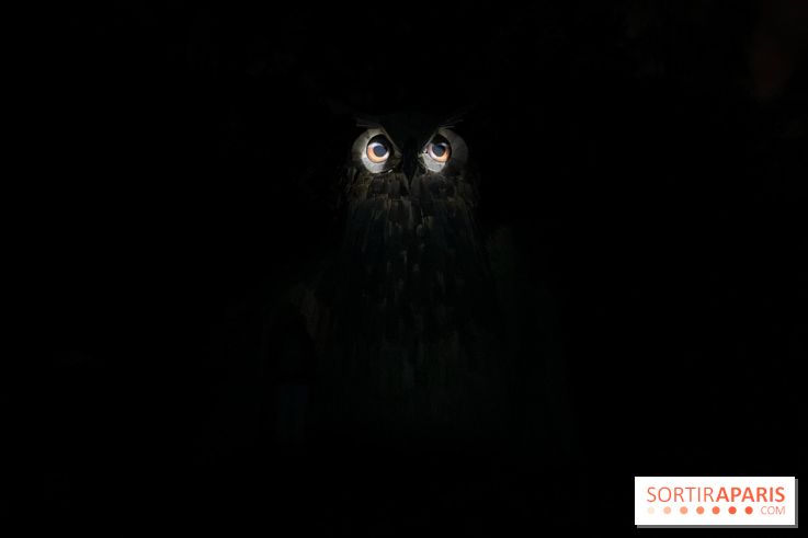 Les Esprits de la Forêt - IMG 5668