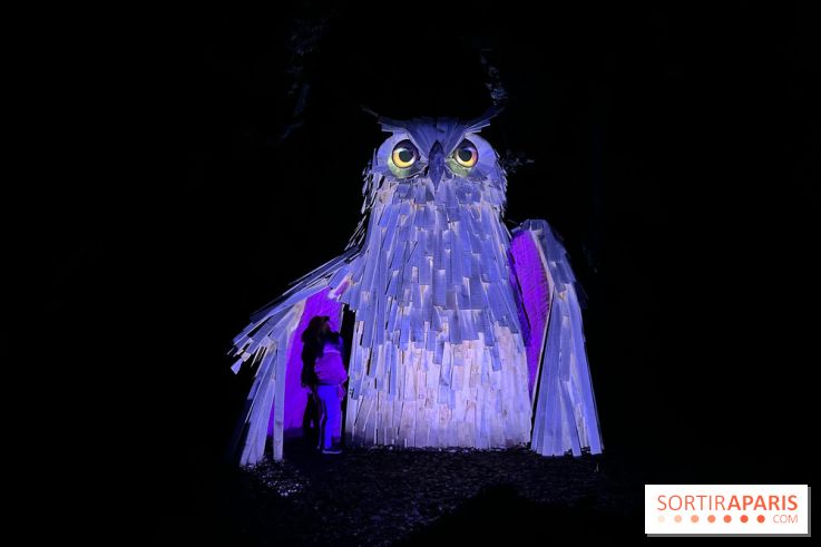 Les Esprits de la Forêt - IMG 5671