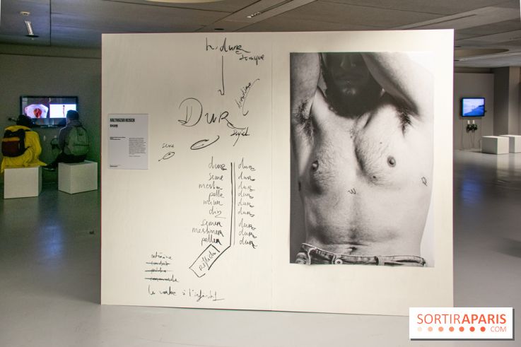 Trans*galactique : l'exposition célébrant les identités trans à la Gaité Lyrique - DSC 1804