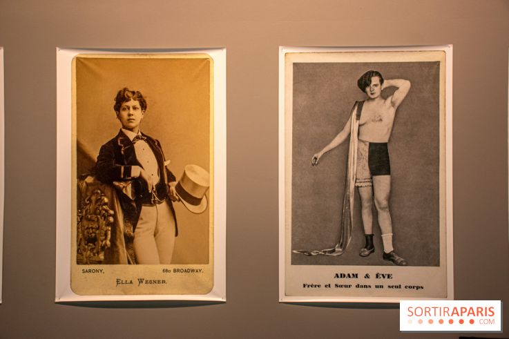 Trans*galactique : l'exposition célébrant les identités trans à la Gaité Lyrique - DSC 1812